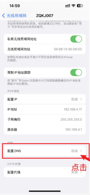 苹果手机如何修改dns